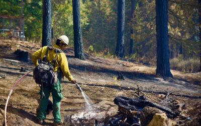 Wildfire fighters, unmasked in toxic smoke, are getting sick and dying
