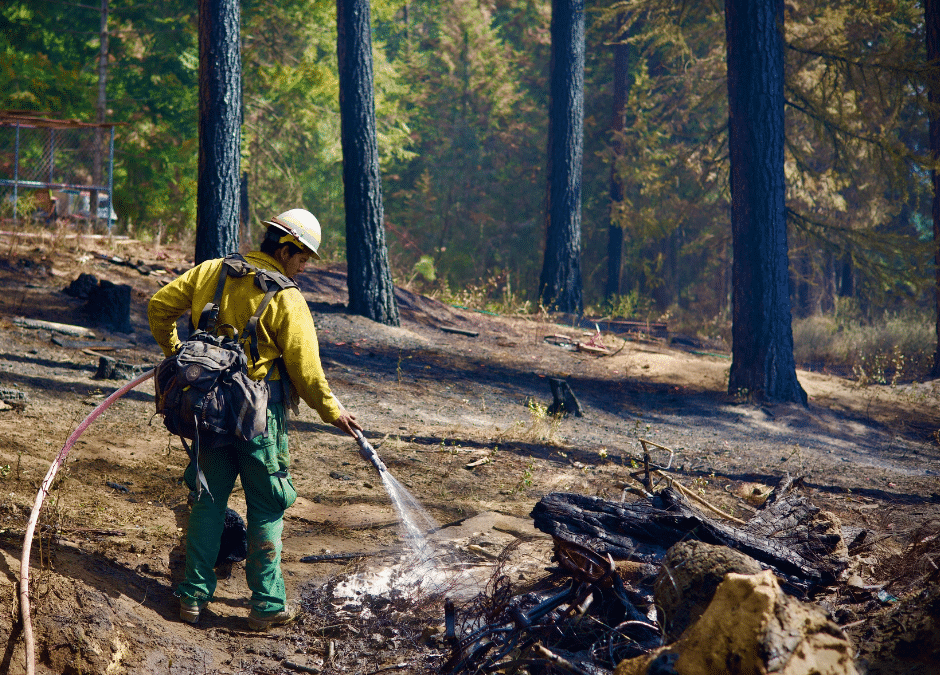 Wildfire fighters are getting cancer