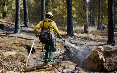 The L.A. Wildfire Cleanup Was Fast. Residents Eager to Rebuild Worry Officials Chose Speed Over Safety