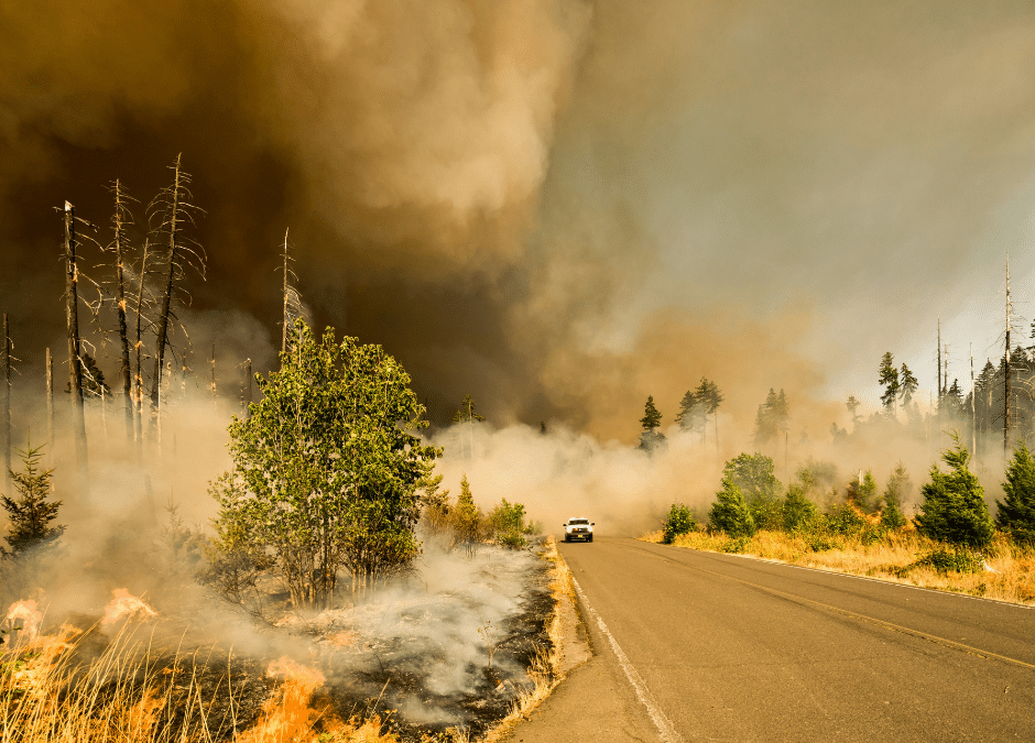 How Vulnerable Are Saskatchewan’s 3 Largest Cities to Wildfires?