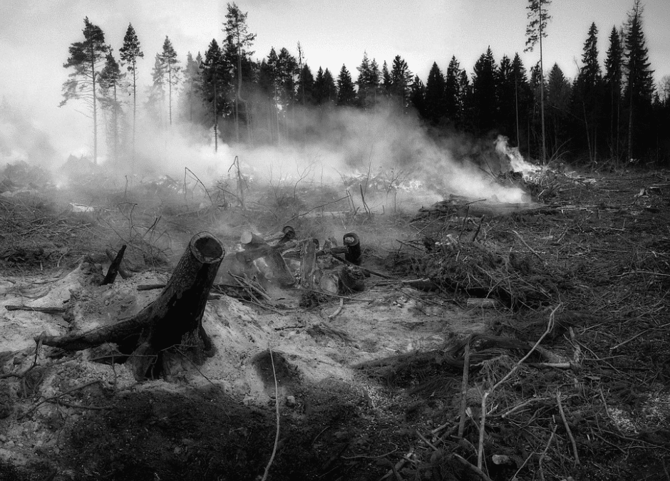Jasper Deputy Fire Chief Reflects On Blaze, Recovery -