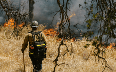 Flamin’ Bot: Los Alamos County Debuts Remote-Controlled Wildfire Mitigation Technology