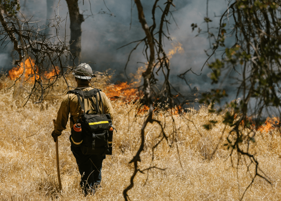 Remote-Controlled Wildfire Technology