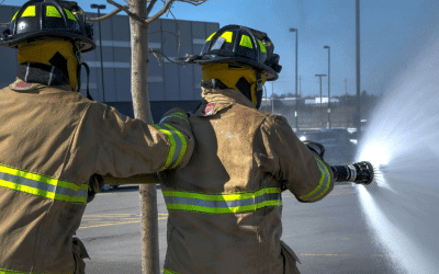 Wildfire retardants help stop fires — but also impact ecosystems
