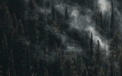 The Trail May Be Getting Colder, But It’s Not Too Late to Determine Wildfire Cause, Says Investigator