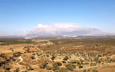 UBC Study Highlights How Wildfires Could Affect Drinking Water Across B.C.