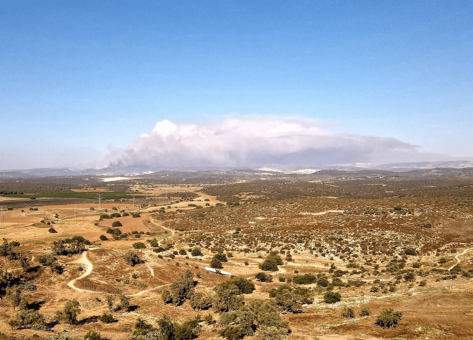 How Wildfires Could Affect Drinking Water