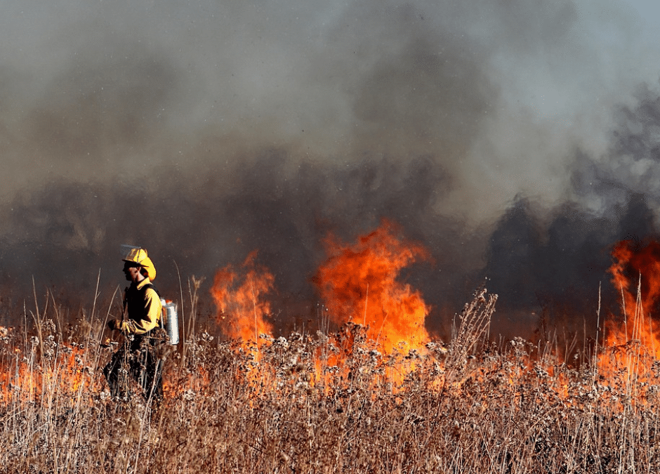 US Forest Service Hiring Freeze