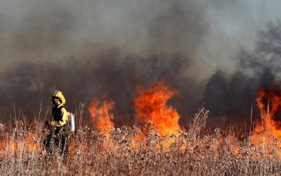 First Nations’ Wildfire Strategies Save Homes. Why Aren’t They Supported?