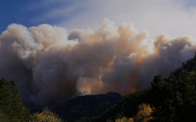 AI-powered Wildfire System Passes First Real-World Test, Snuffing Out Fires Automatically