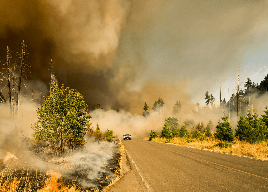 Canada’s Wildfire Paradox: Fewer Fires, Greater Destruction Highlighted In New Analysis