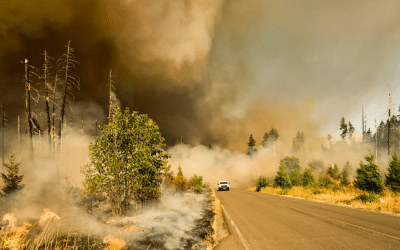 The Human Element is Still Key in Detecting Wildfires. But New Tech is Aiding the Fight