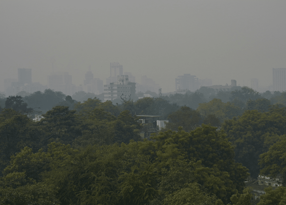 Wildland Fires Emit More Air Pollution Than Previously Estimated, Study Finds