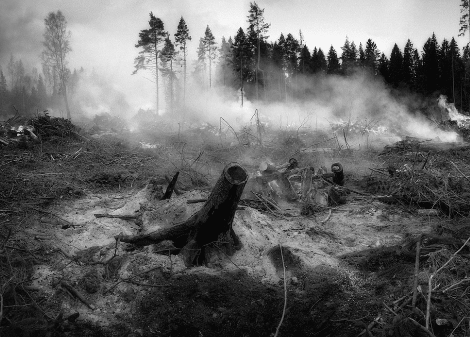 Amid Canada’s tough wildfire season, opinions split over use of volunteers and reservists