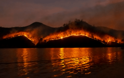 Los Angeles Firefighters Didn’t Use TIC to Confirm Jan. 1 Wildfire was Out