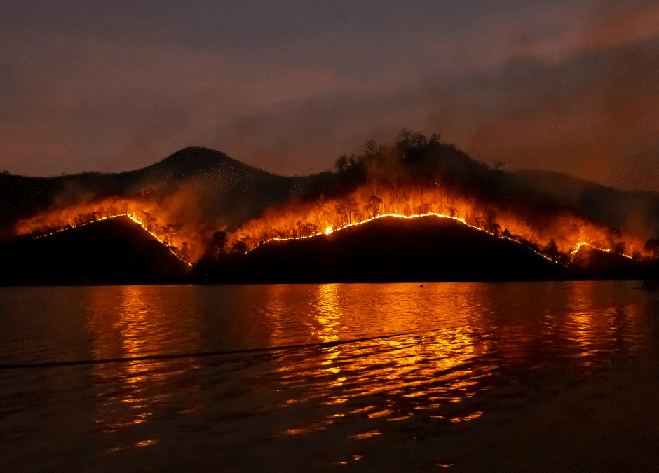 LA Firefighters Didn't Use TIC