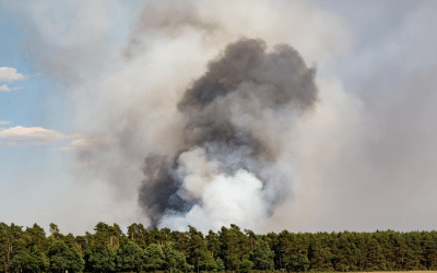 Hundreds Of Wildfires Continue to Burn in Different Parts of Canada – 