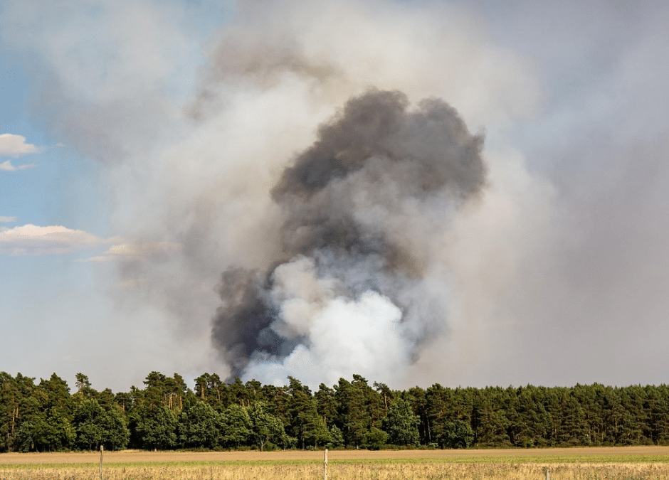 Wildfires Continue to Burn