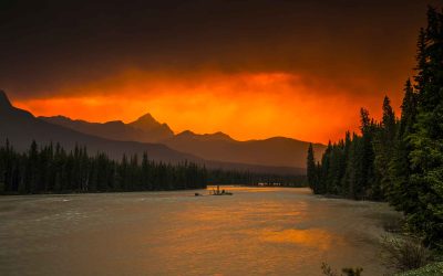 Over 130 active wildfires burning in Alberta