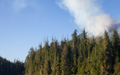 Notoriously challenging: BC wildfire fuel data inaccurate, study finds