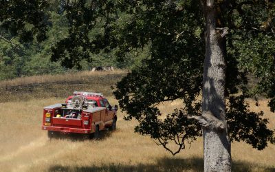 Caltech Expert Leads Presidential Report On Modernizing Wildland Firefighting