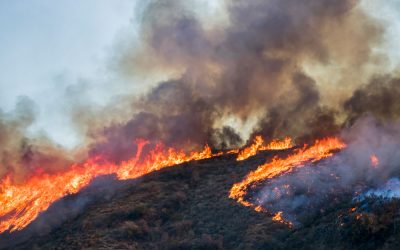 Canada: I Don’t Want To Set The World On Fire: UN Report On The Threat Of Extraordinary Landscape Fires