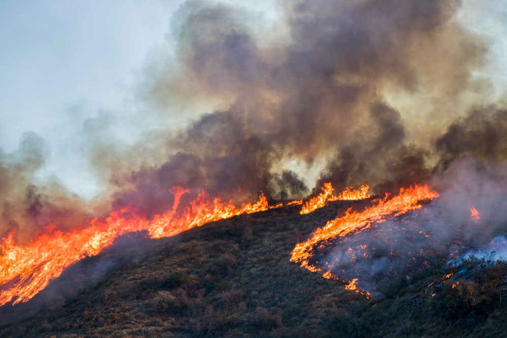 Canada: I Don’t Want To Set The World On Fire: UN Report On The Threat Of Extraordinary Landscape Fires