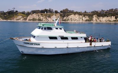 Controversy Over Design and Safety of Dive Boats