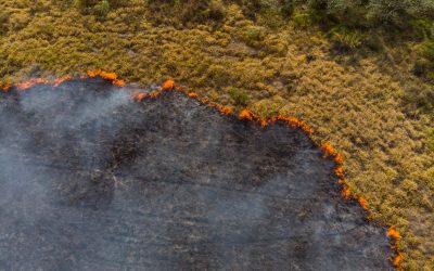 ‘A mammoth of change’: Firefighters brace for life amid climate change, burnout