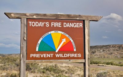 Wildfires in Colorado Are Growing More Unpredictable. Officials Have Ignored the Warnings