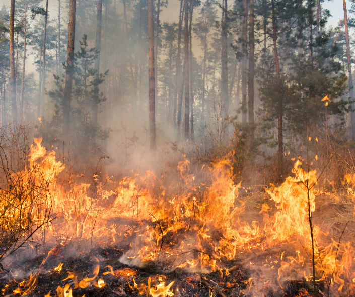 BC issues first fire ban of the season as drought worry grows