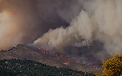 As Alberta’s record fire season ends, planning begins for next year’s fight