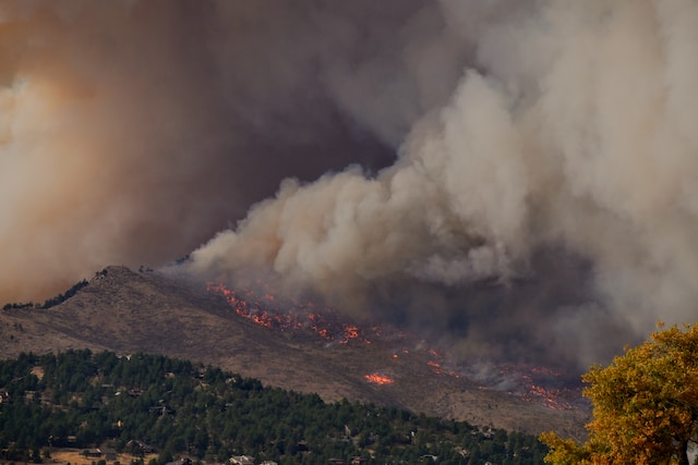 Alberta fire Season