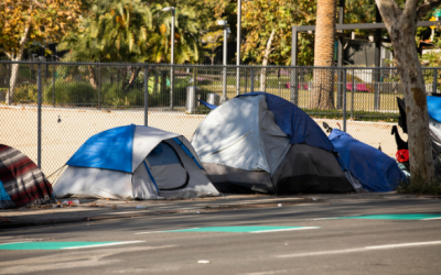 Edmonton needs different approach for dealing with homeless encampments, police chief says