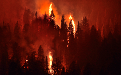 Alberta wildfire season ’10 times more severe’ than recent averages, province says