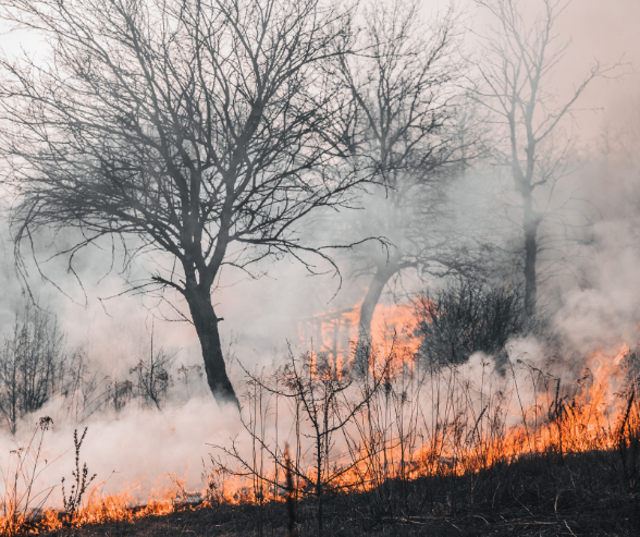 Minnesota's wildfire season has already started