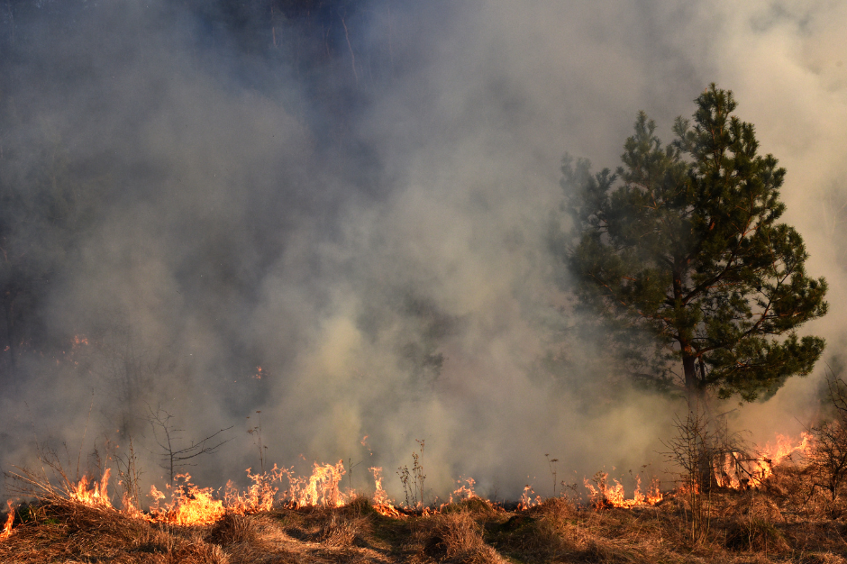 A prescribed burn saved lives and homes on this B.C. First Nation, offering a glimpse at firefighting’s future