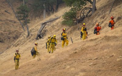 Korean Firefighters Create Lightweight Backpack Hose Reel