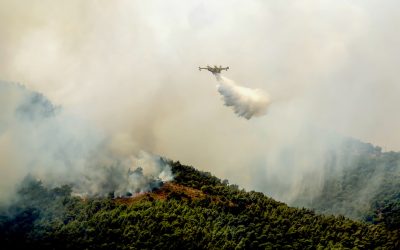 Long Fire Seasons Has Australia Considering a Flying Firefighting Fleet 