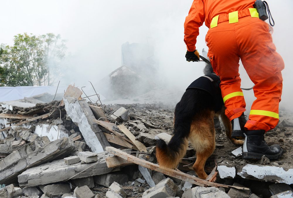 Pre-fire Planning for a Major Earthquake