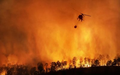 It’s Never Too Early to Start Preparing for the Next Wildfire Crisis