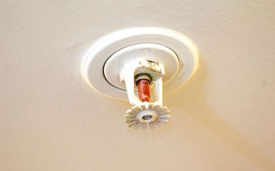 One Residential Sprinkler Head Saves the Day