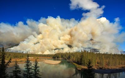 The threat of wildfires is rising. So are new AI solutions to fight them