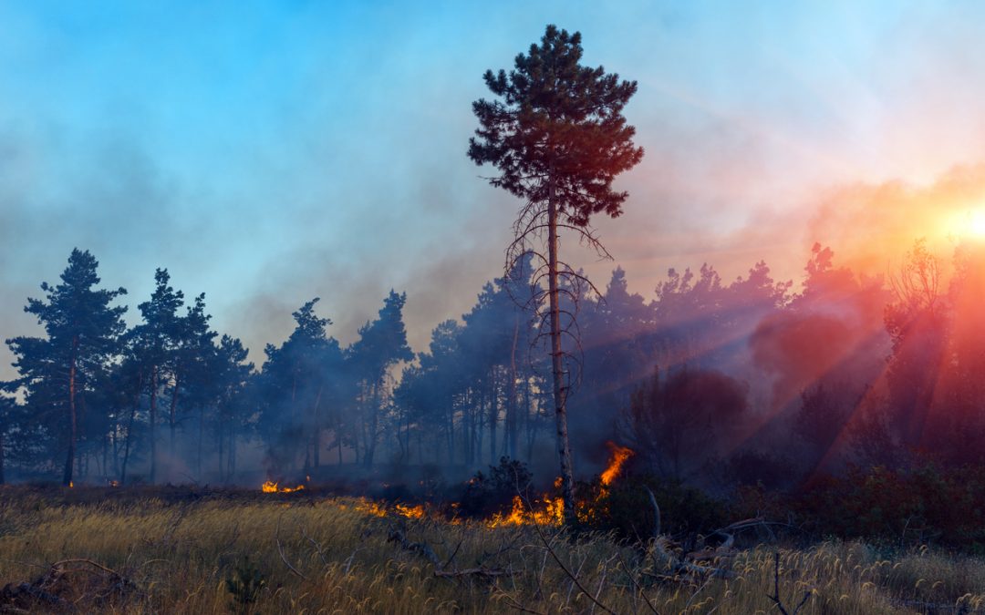 US Forest Service Fire Sciences Lab in Missoula?