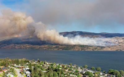 ‘It was the fight of our lives’: West Kelowna fire chief addresses UN about wildfires and climate change