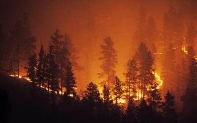 CO AI Wildfire Detection Bill Gets Initial Approval