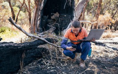 New study unveils breakthrough in forest fire detection despite environmental changes