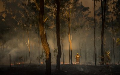 Aborigines Have a History of Fuel Management Preventing Devastating Wildfires