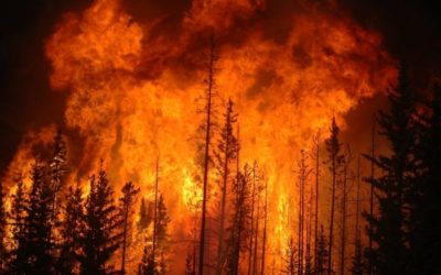 Premier offers up cash to reduce wildfire risks to communities