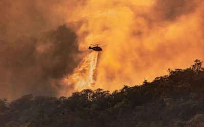 B.C. wildfires: Indigenous report calls for change to response, recovery